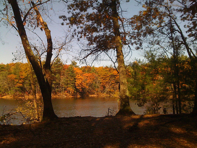 Harold Parker State Forest in Andover, Massachusetts