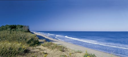 Coast Guard Beach by Office of Massachusetts Travel and Tourism