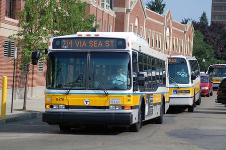 MBTA Bus [Boston]