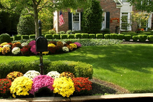 brick house fall flowers american flag