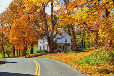 Country road with house and fall foliage